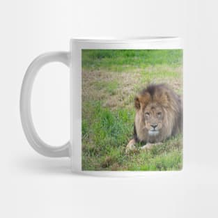 King of the Jungle Mug